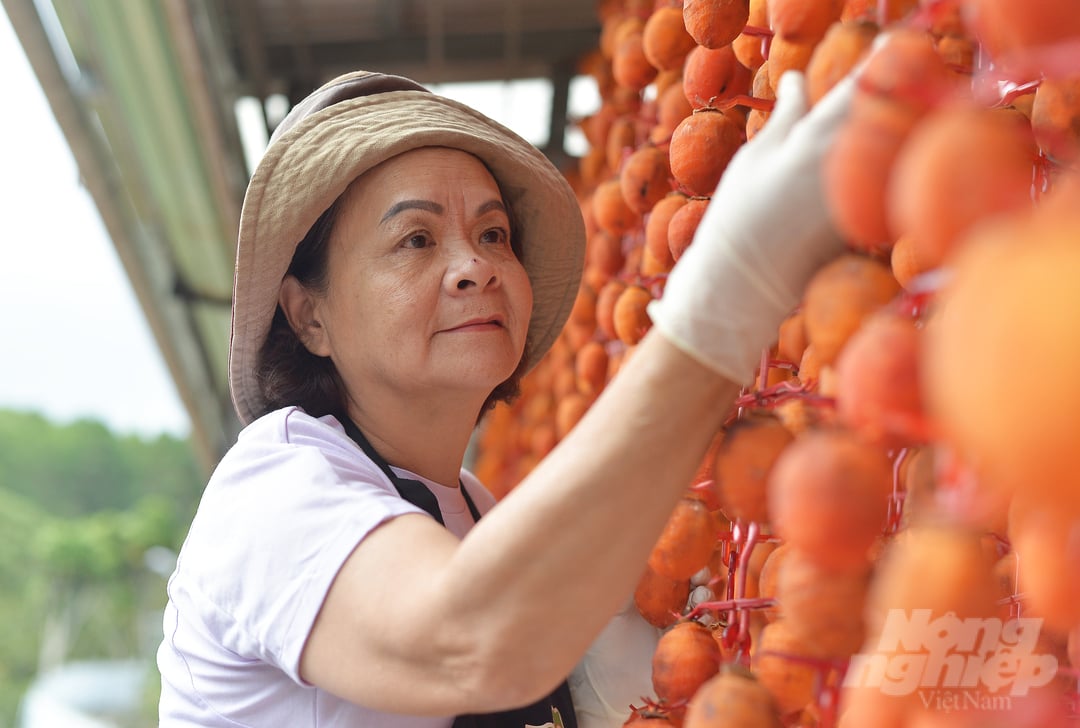 Ms. Dang Thi Thu Van, production base of Le Van persimmons, said that in addition to the persimmons harvested from the 0.7ha garden, each month the family buys about 20 tons of fruit from households in the area to serve processing. variable.   