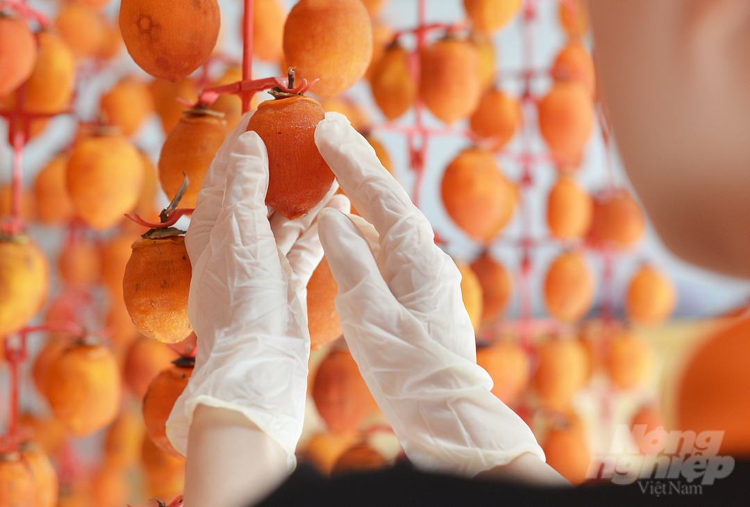 According to the process, the persimmons, after hanging on the rig, will be dried by wind according to Japanese technology within 20 days with a temperature of about 20 to 25 degrees Celsius.