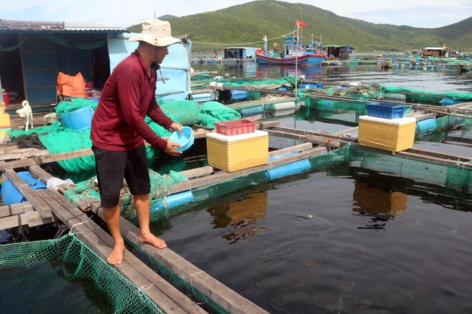 Người nuôi trồng thủy sản trông chờ giống thủy sản có tìm năng và lợi thế để nuôi biển hiệu quả. Ảnh: KS.