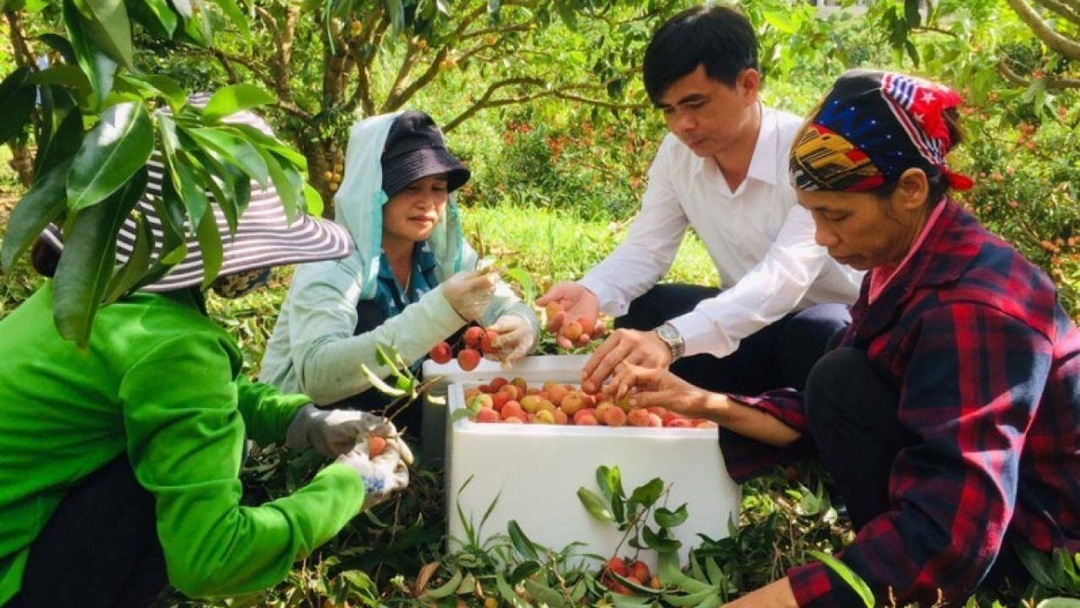 Người dân sẽ được hưởng lợi khi liên kết vùng được đẩy mạnh.