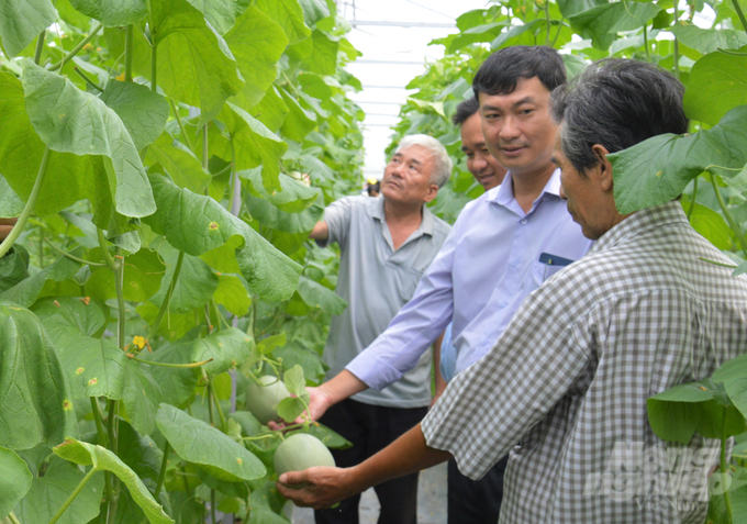 Hợp tác xã Dưa lưới Thuận Phát sẵn sàng hợp tác phát triển cây dưa lưới công nghệ cao với bà con nông dân và bao tiêu đầu ra cho nhà nông liên kết sản xuất. Ảnh: Trung Chánh.