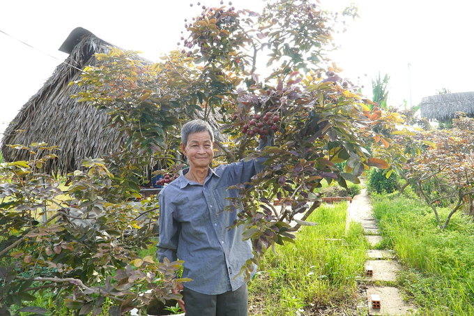 A tourist attraction at Ta Trung Thanh’s longan farm. Photo: Kim Anh.