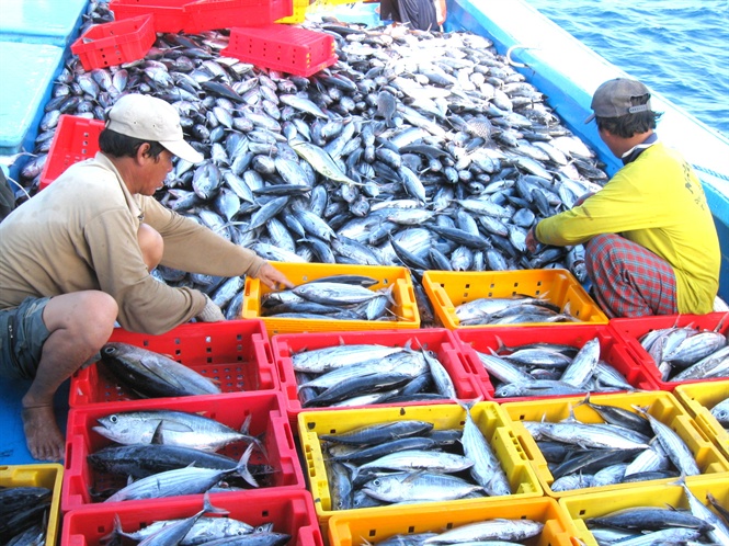 Delegate Le Anh Tuan (Ha Tinh) said that removing the European Commission's yellow card for the seafood industry is a problem that needs to be promptly and effective handled. 