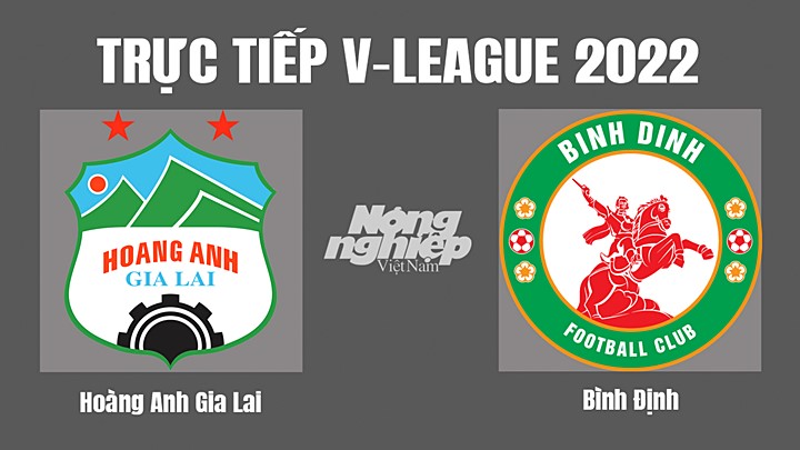 Trực tiếp bóng đá V-League (VĐQG Việt Nam) 2022 giữa HAGL vs Bình Định hôm nay 28/10/2022