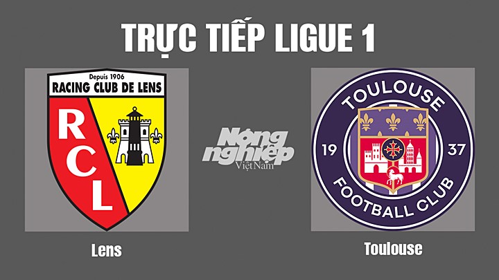 Trực tiếp bóng đá Ligue 1 (VĐQG Pháp) 2022/23 giữa Lens vs Toulouse hôm nay 29/10/2022