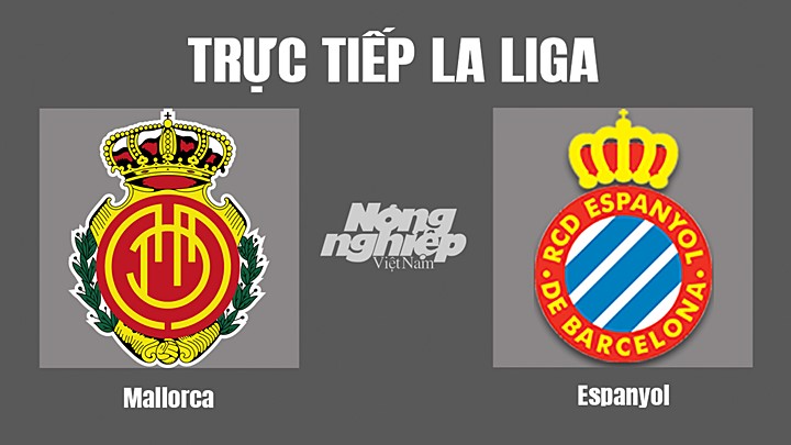 Trực tiếp bóng đá La Liga 2022/23 giữa Mallorca vs Espanyol hôm nay 29/10/2022