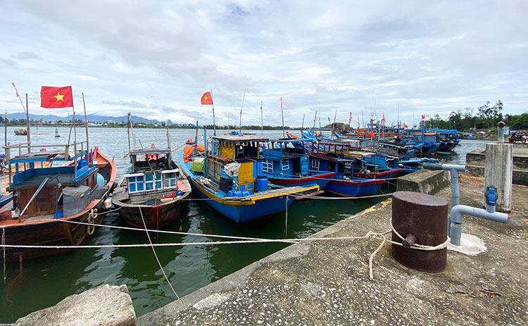 Cầu cảng cá sông Trà Bồng, tỉnh Quảng Ngãi. Ảnh: BT.