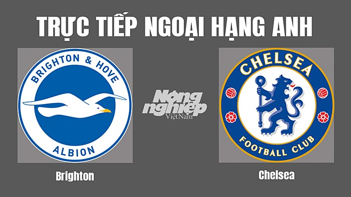 Trực tiếp bóng đá Ngoại hạng Anh giữa Brighton vs Chelsea hôm nay 29/10/2022