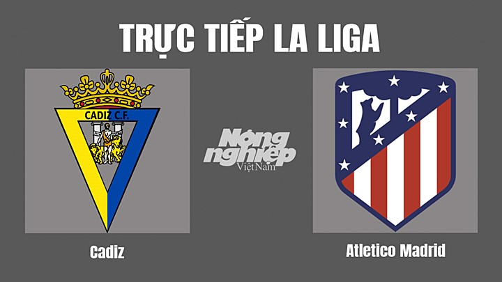 Trực tiếp bóng đá La Liga 2022/23 giữa Cadiz vs Atletico Madrid hôm nay 29/10/2022