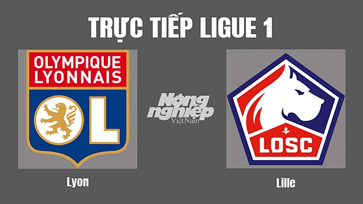 Trực tiếp bóng đá Ligue 1 (VĐQG Pháp) 2022/23 giữa Lyon vs Lille hôm nay 31/10/2022