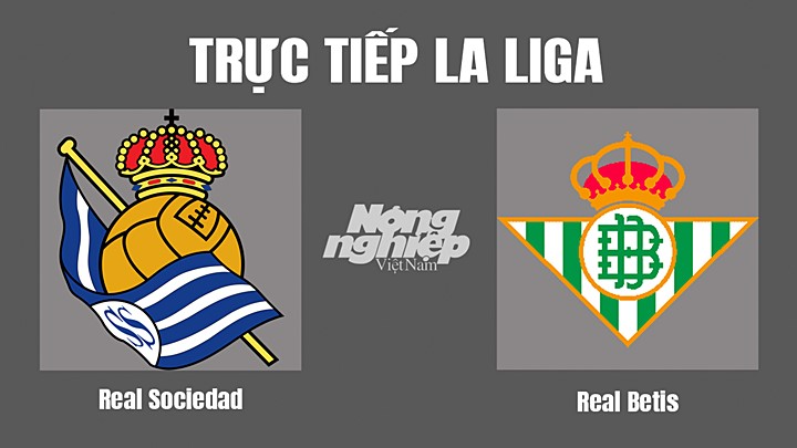 Trực tiếp bóng đá La Liga 2022/23 giữa Real Sociedad vs Real Betis hôm nay 31/10/2022