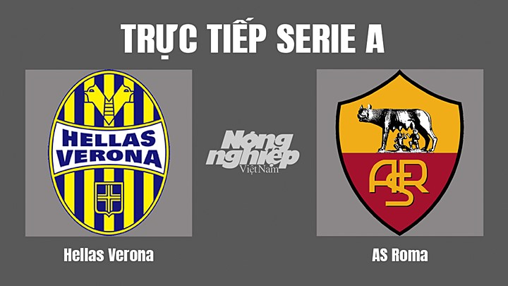 Trực tiếp bóng đá Serie A (VĐQG Italia) 2022/23 giữa Hellas Verona vs AS Roma hôm nay 1/11