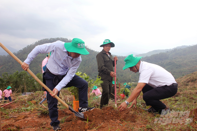 Đại diện lãnh đạo Sở NN-PTNT tỉnh Thừa Thiên - Huế trồng cây tại lễ phát động. Ảnh: Công Điền.