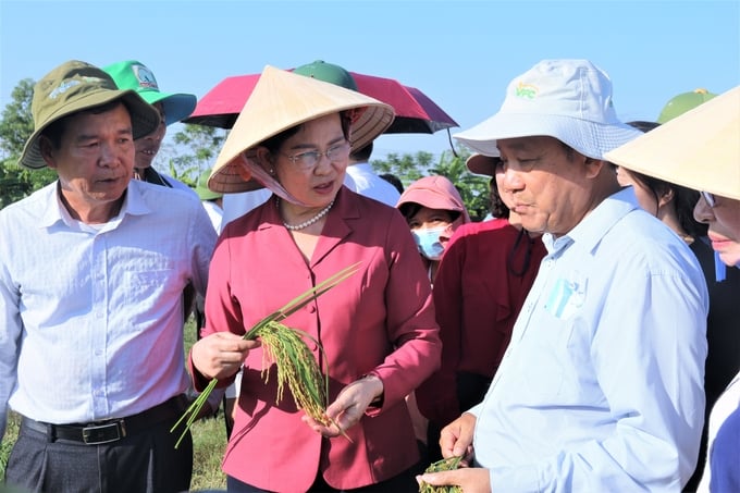 Bà Lê Thị Thủy (giữa), Bí thư Tỉnh ủy Hà Nam cùng lãnh đạo nhiều tổ chức, đơn vị của Bộ NN-PTNT thăm mô hình sử dụng phân bón lá hữu cơ Pan cho lúa tại Bình Lục (Hà Nam) vụ mùa 2022. Ảnh: Phạm Hiếu.