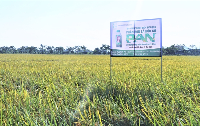 Phân bón lá hữu cơ Pan góp phần cải thiện môi trường sinh thái, từng bước đưa sản xuất lúa theo hướng hữu cơ. Ảnh: Phạm Hiếu.