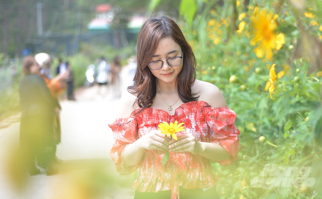 Chị Nguyễn Hoàng Thanh Nhàn (Đà Lạt) cho biết: 'Mỗi năm hoa dã quỳ chỉ nở một lần nên tôi và nhóm bạn sắp xếp thời gian, tìm những nơi có nhiều hoa để chụp hình lưu niệm'.