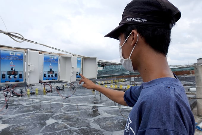 Mr. Luong Van Ha's farm workers operate an automatic machine that feeds shrimp. Photo: Son Trang.