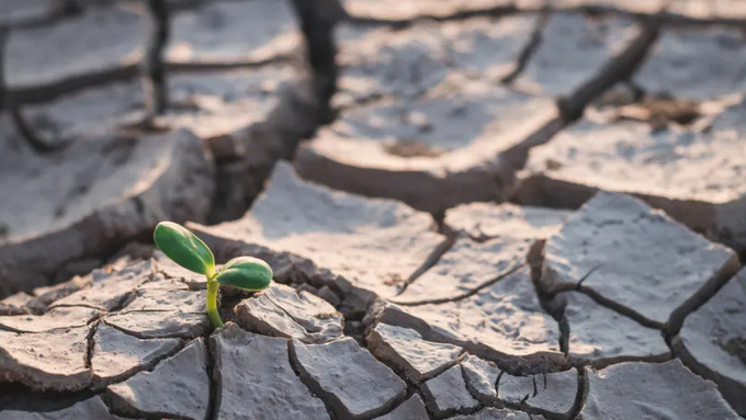 Egypt will host the COP27 climate change conference. Photo: iStock