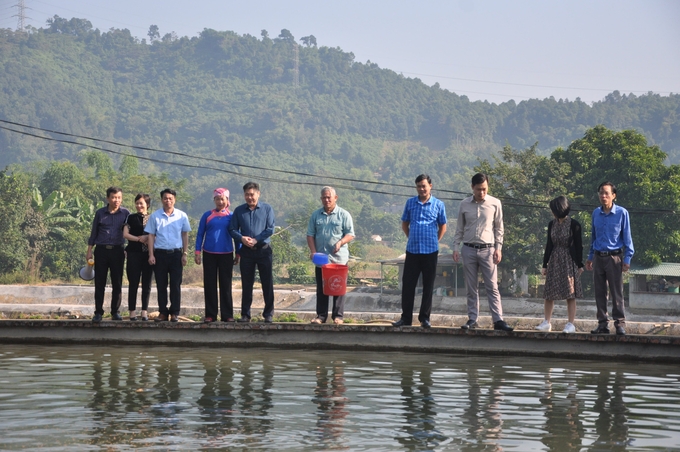 Đoàn công tác Trung tâm Khuyến nông Quốc gia tham quan mô hình nuôi cá tại xã Cốc San, TP Lào Cai. Ảnh: N.T.