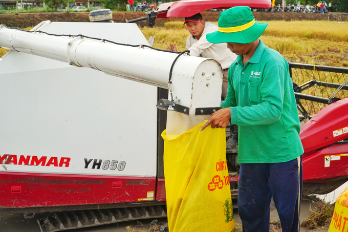 If done well at the post-harvest stages through the application of mechanization, it will increase the value of rice grains many times over. Photo: Kim Anh.