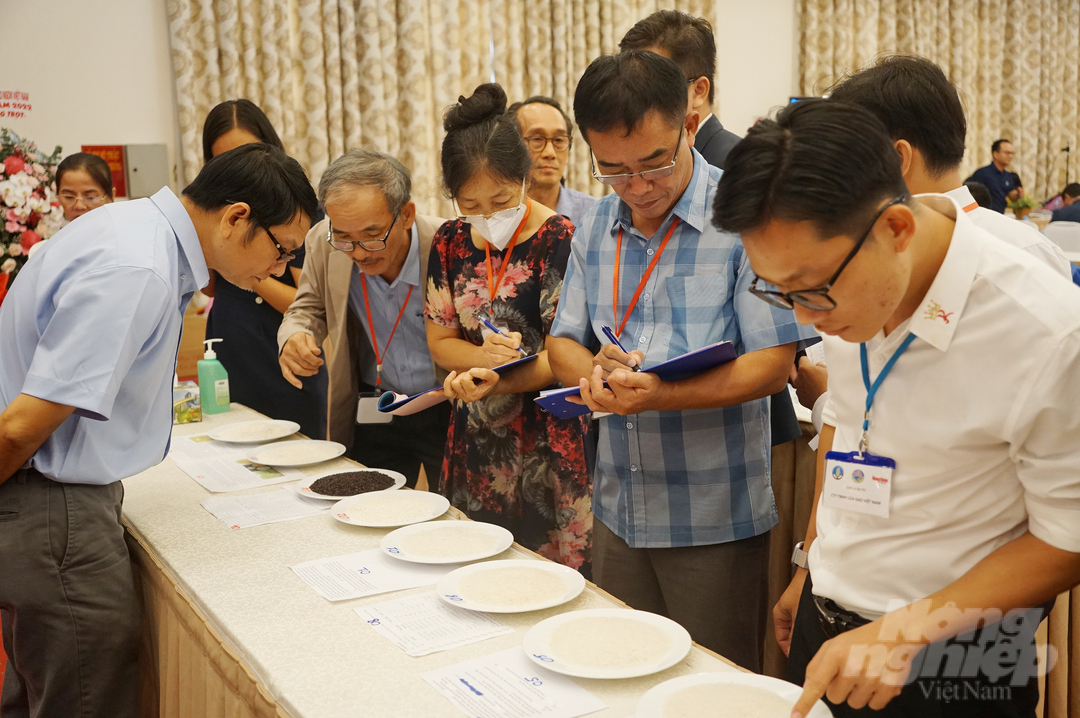 Ban Giám khảo đánh giá các mẫu gạo trước khi nấu. Ảnh: Nguyễn Thủy.