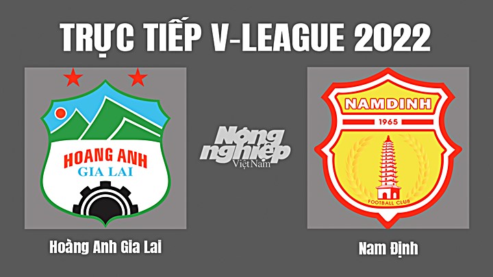 Trực tiếp bóng đá V-League (VĐQG Việt Nam) 2022 giữa HAGL vs Nam Định hôm nay 4/11/2022