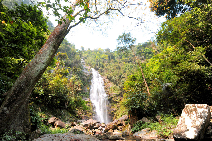 The area of the ​​11 World Biosphere Reserves in Vietnam totals up to 4,866,009 hectares, accounting for nearly 14.69% of Vietnam's natural area. Photo: PH.