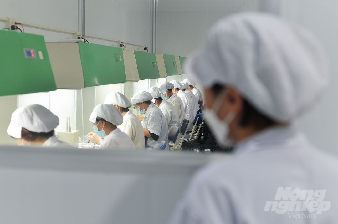 Năm 2017, gia đình ông Phạm Phong Hải (ngụ phường 8, TP Đà Lạt, Lâm Đồng) bắt tay vào xây dựng nhà xưởng, phòng Lab, đầu tư trang thiết bị hiện đại để sản xuất giống nuôi cấy mô (giống invitro). 