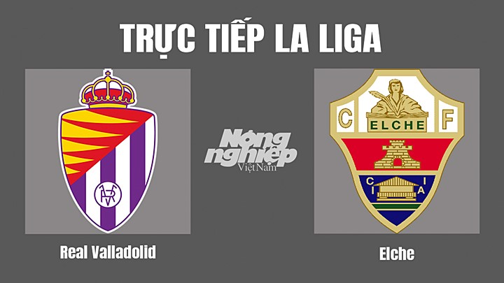 Trực tiếp bóng đá La Liga 2022/23 giữa Real Valladolid vs Elche hôm nay 5/11/2022