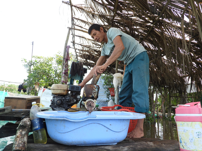 Anh Sơn tận dụng nguồn cá tạp đánh bắt trên sông Vàm Cỏ làm thức ăn cho cá thát lát cườm. Ảnh: Trần Trung.