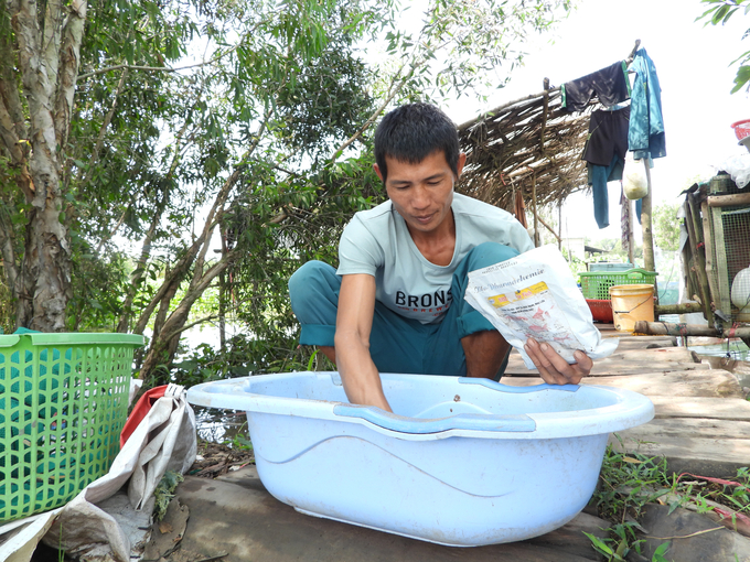 Anh Sơn sử dụng men vi sinh, chế phẩm sinh học tăng cường miễn dịch cho cá thát lát. Ảnh: Trần Trung.