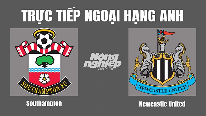 Trực tiếp bóng đá Ngoại hạng Anh giữa Southampton vs Newcastle United hôm nay 6/11/2022