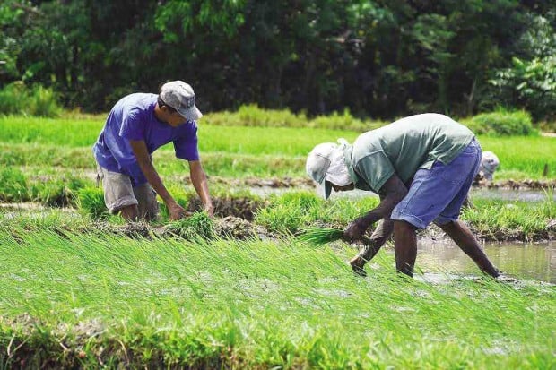 The Philippines has promised more assistance to farmers.