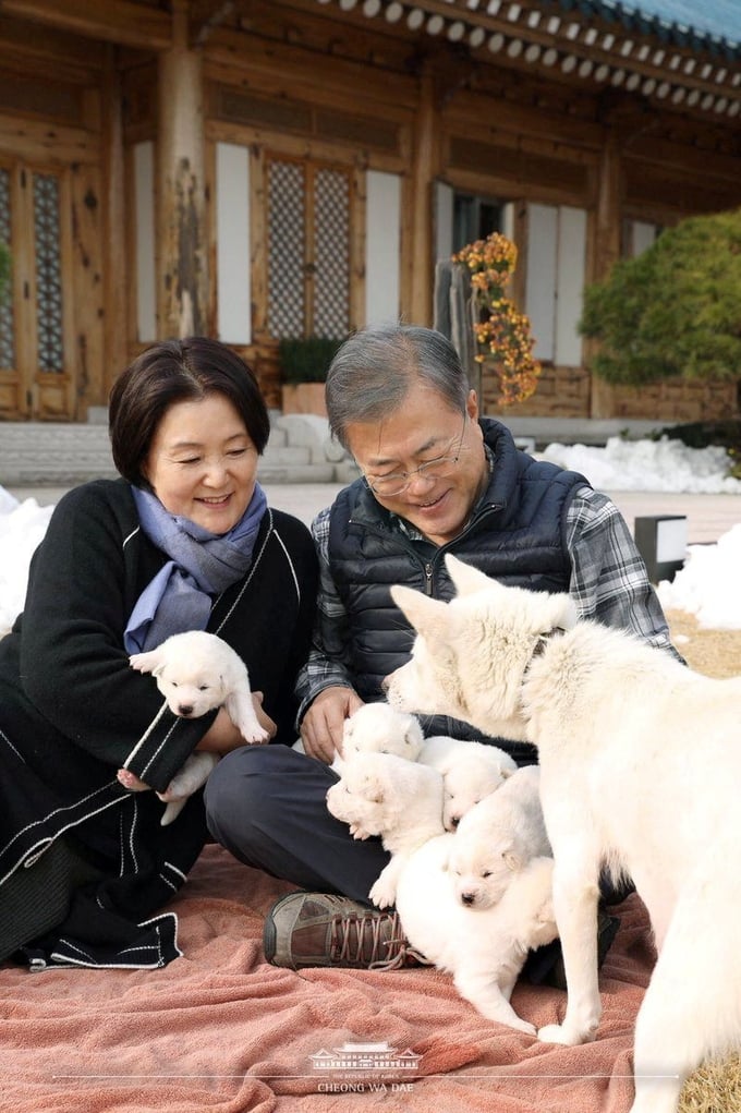 Tổng thống Hàn Quốc Moon Jae-in và đệ nhất phu nhân Kim Jung-sook bên những chú chó con được sinh ra từ cặp chó được tặng từ nhà lãnh đạoTriều Tiên Kim Jong-un, tại thủ đô Seoul, ngày 25 tháng 11 năm 2018. Ảnh: Reuters
