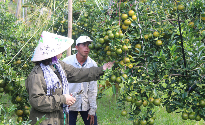 Ms. Mai established an organic agricultural cooperative, creating jobs for 52 local workers and helping people develop sustainable economy.