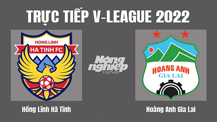 Trực tiếp bóng đá V-League (VĐQG Việt Nam) 2022 giữa Hà Tĩnh vs HAGL hôm nay 8/11/2022