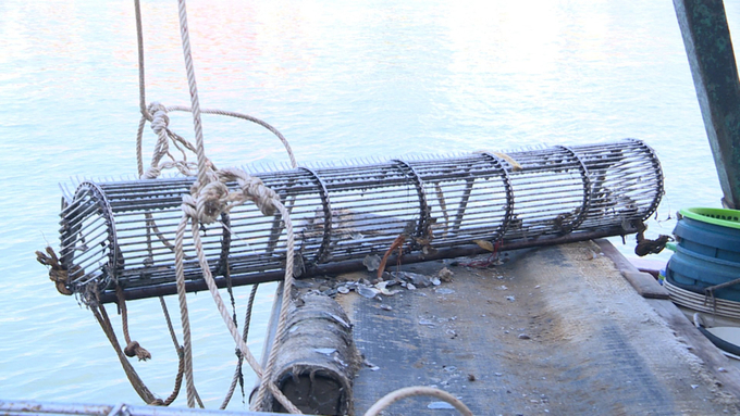 Ngư cụ cấm dùng trong khai thác thuỷ sản trên tàu cá bị Hải đội 2 bắt giữ. Ảnh: Nguyễn Thành.