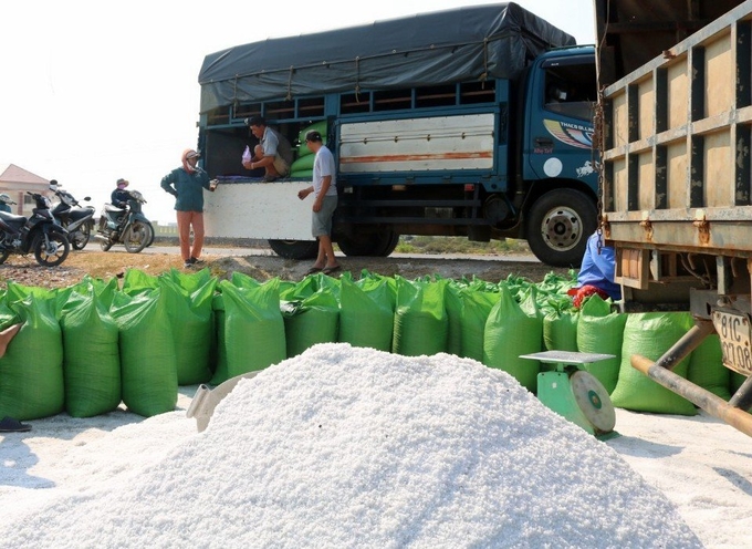 Khanh Hoa province will revive salt production.