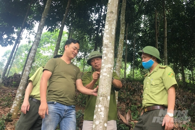  Một mô hình phát triển rừng có hiểu quả cao tại Thái Nguyên. Ảnh: Toán Nguyễn.