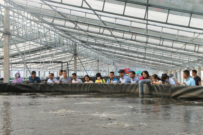 Các đại biểu tham quan mô hình nuôi tôm công nghệ cao tại phường Tân Thành, quận Dương Kinh (TP Hải Phòng). Ảnh: Đinh Mười.