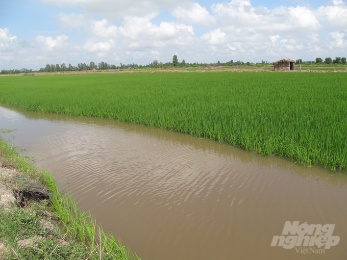 Thanh tra tỉnh Cà Mau, đơn vị vừa có thông báo kết luận thanh tra nguồn kinh phí Trung ương hỗ trợ thực hiện chính sách bảo vệ và phát triển đất trồng lúa trên địa bàn huyện U Minh, tỉnh Cà Mau từ 1/1/2018 đến 31/12/2022. Ảnh: Trọng Linh.