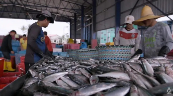 Overfishing has reached critical levels, though it may not be immediately obvious.