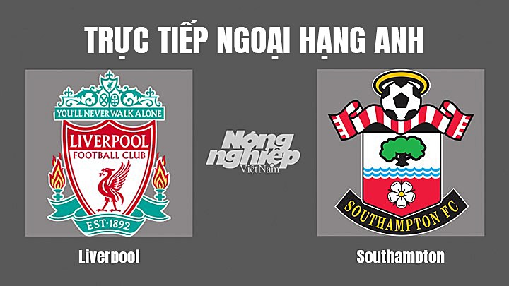 Trực tiếp bóng đá Ngoại hạng Anh giữa Liverpool vs Southampton hôm nay 12/11/2022