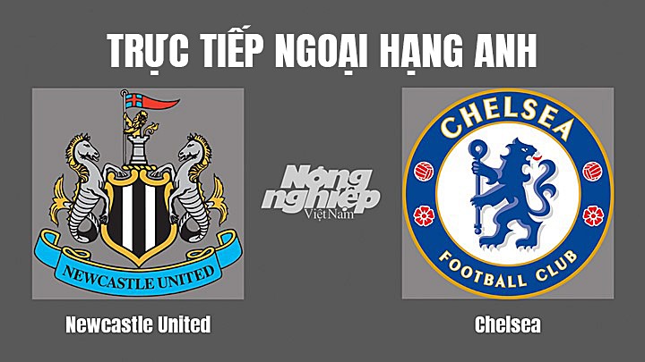 Trực tiếp bóng đá Ngoại hạng Anh giữa Newcastle United vs Chelsea hôm nay 13/11/2022