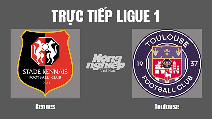 Trực tiếp bóng đá Ligue 1 (VĐQG Pháp) 2022/23 giữa Rennes vs Toulouse hôm nay 13/11/2022