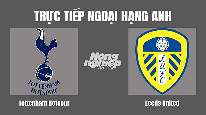 Trực tiếp bóng đá Ngoại hạng Anh giữa Tottenham vs Leeds United hôm nay 12/10/2022