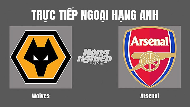 Trực tiếp bóng đá Ngoại hạng Anh giữa Wolves vs Arsenal hôm nay 13/11/2022