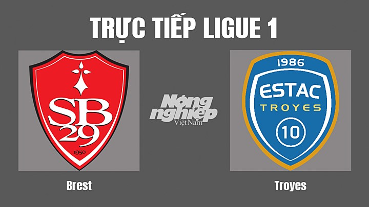 Trực tiếp bóng đá Ligue 1 (VĐQG Pháp) 2022/23 giữa Brest vs Troyes hôm nay 13/11/2022