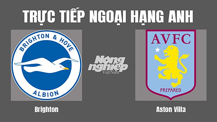 Trực tiếp bóng đá Ngoại hạng Anh giữa Brighton vs Aston Villa hôm nay 13/11/2022