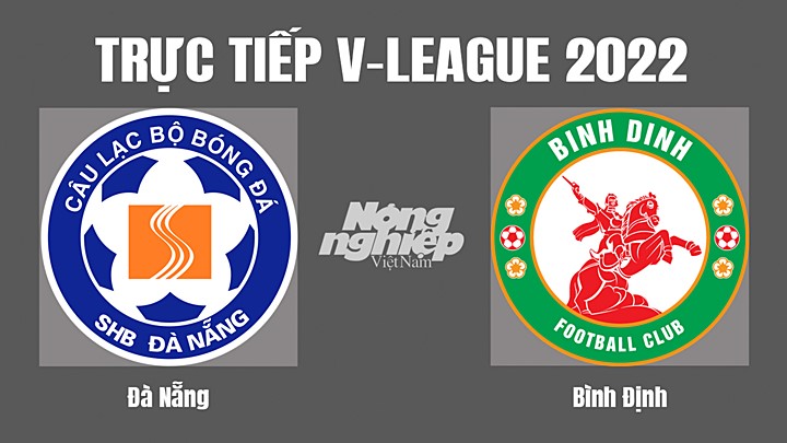 Trực tiếp bóng đá V-League (VĐQG Việt Nam) 2022 giữa Đà Nẵng vs Bình Định hôm nay 13/11/2022